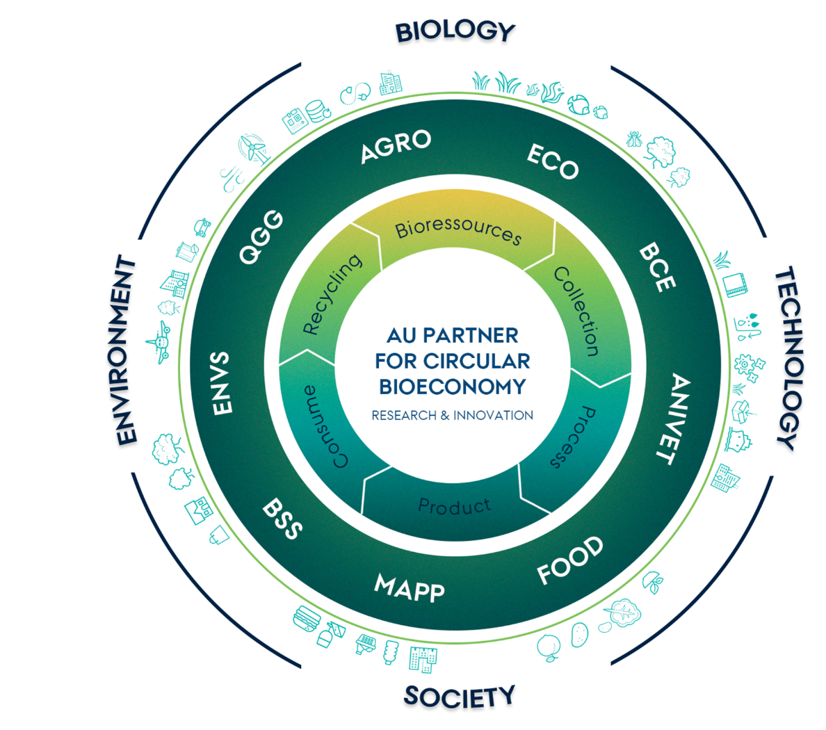 CBIO organizational chart 